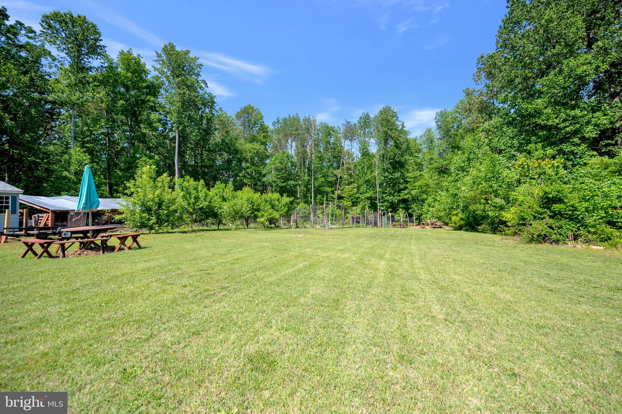 28229 Beech Drive Rhoadesville, VA 22542 - Photo 57 of 62 a backyard of a house with table and chairs