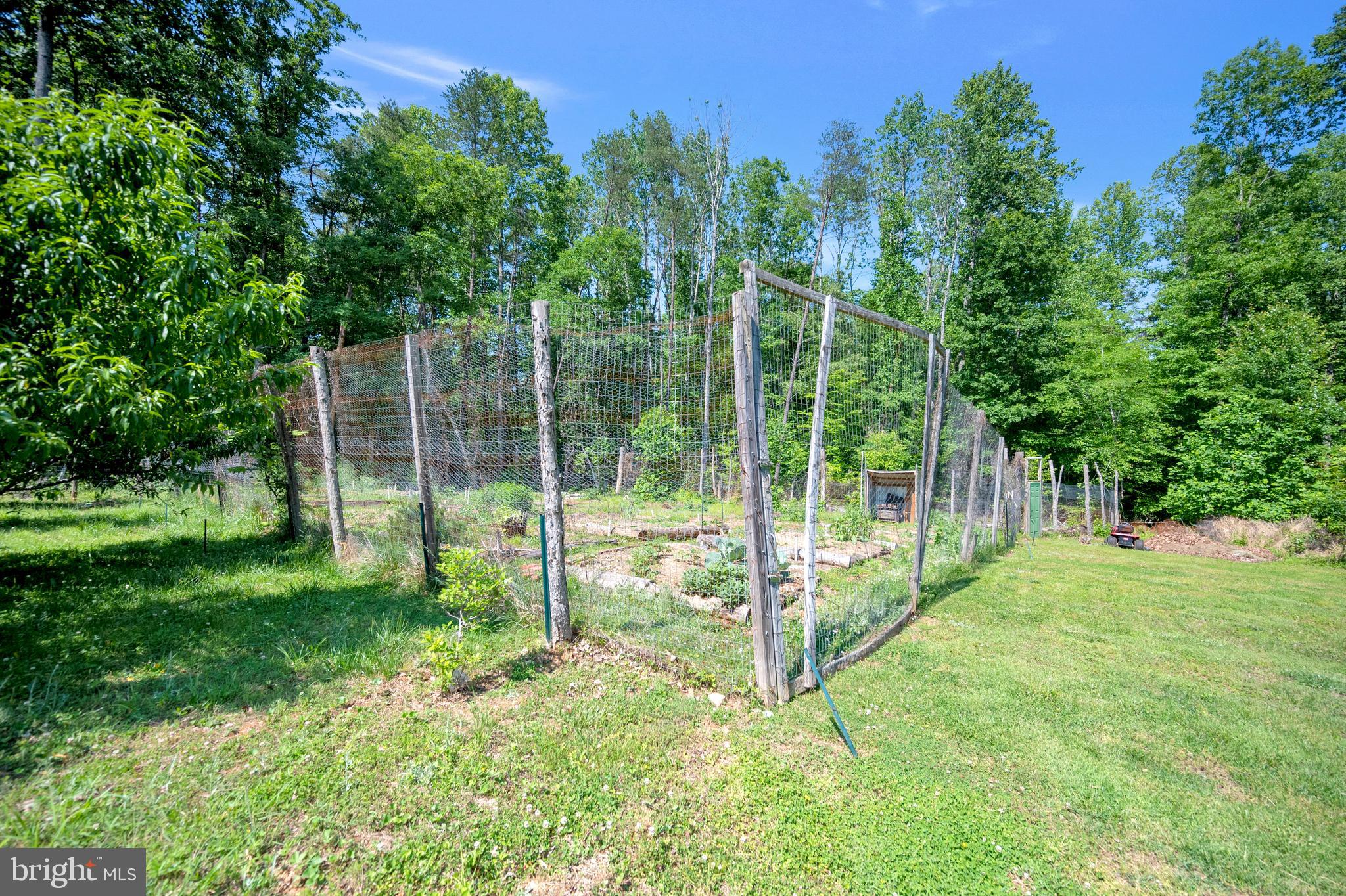 28229 Beech Drive Rhoadesville, VA 22542 - Photo 60 of 62 a view of a yard with a tree
