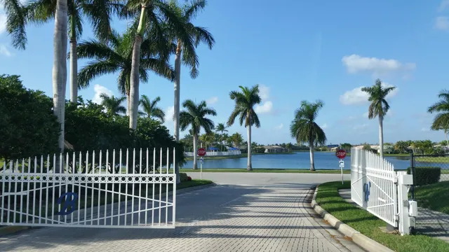 a view of a yard with plants