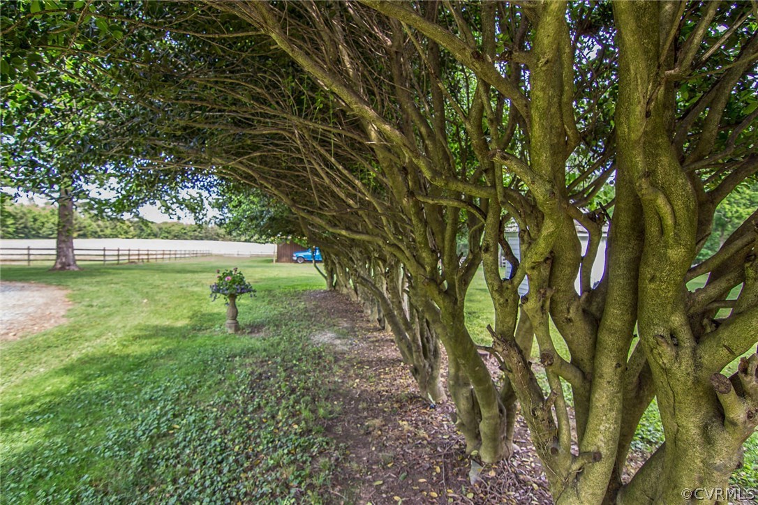 2328 Stormont Road Saluda, VA 23149 - Photo 22 of 49 Graceful old hedge of holly bushes flanks both sid