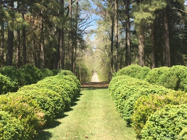 Mid-day view form front porch through boxwood gard