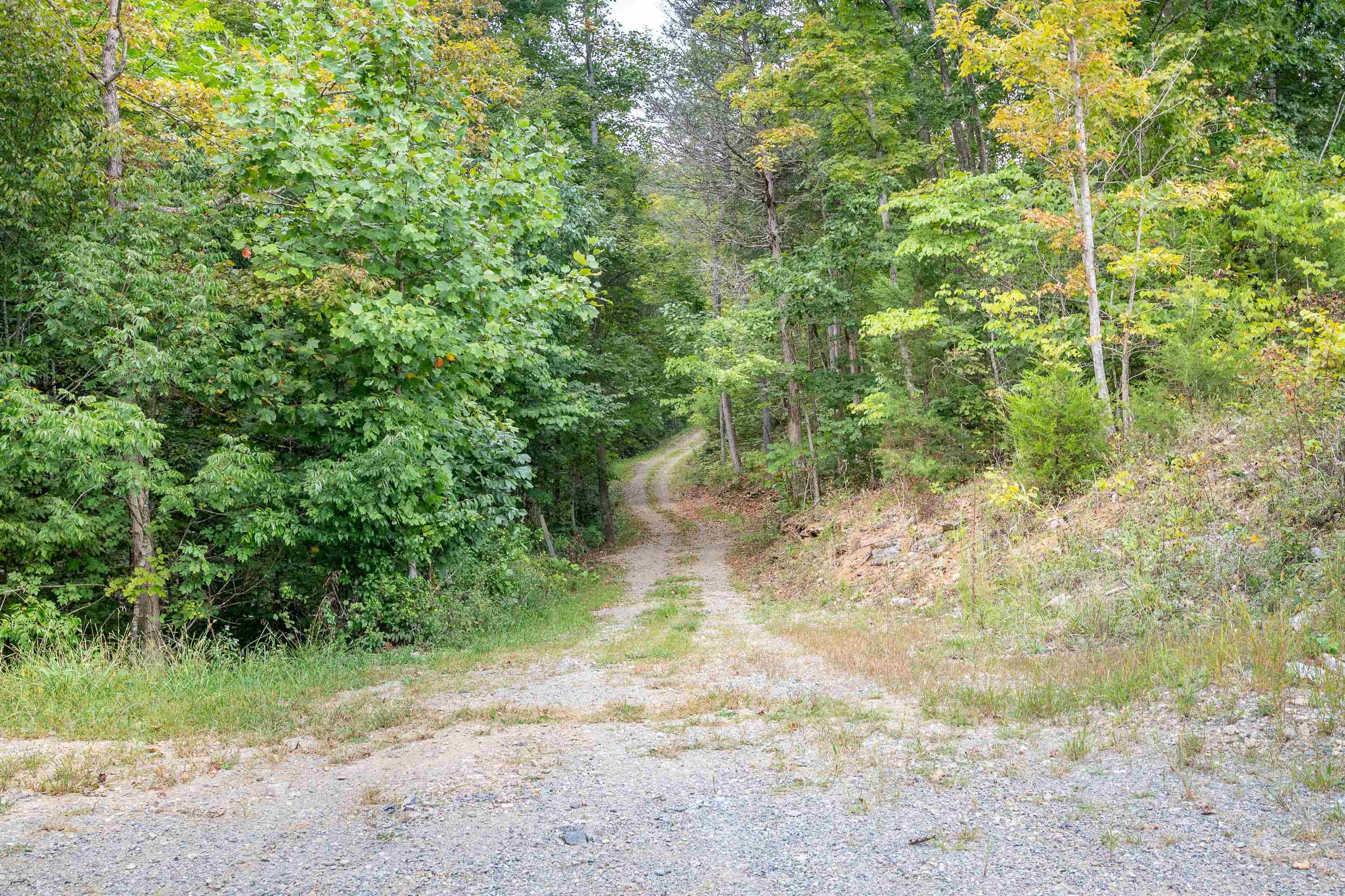 6007 Thornton Road Dublin, VA 24084 - Photo 41 of 105 Gallery Image 41