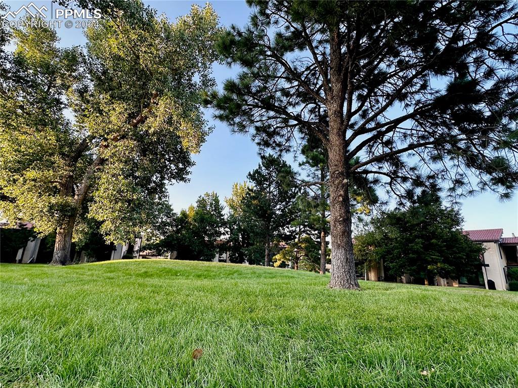 3123 Broadmoor Valley Road, Unit D Colorado Springs, CO 80906 - Photo 38 of 38 a green field with lots of trees