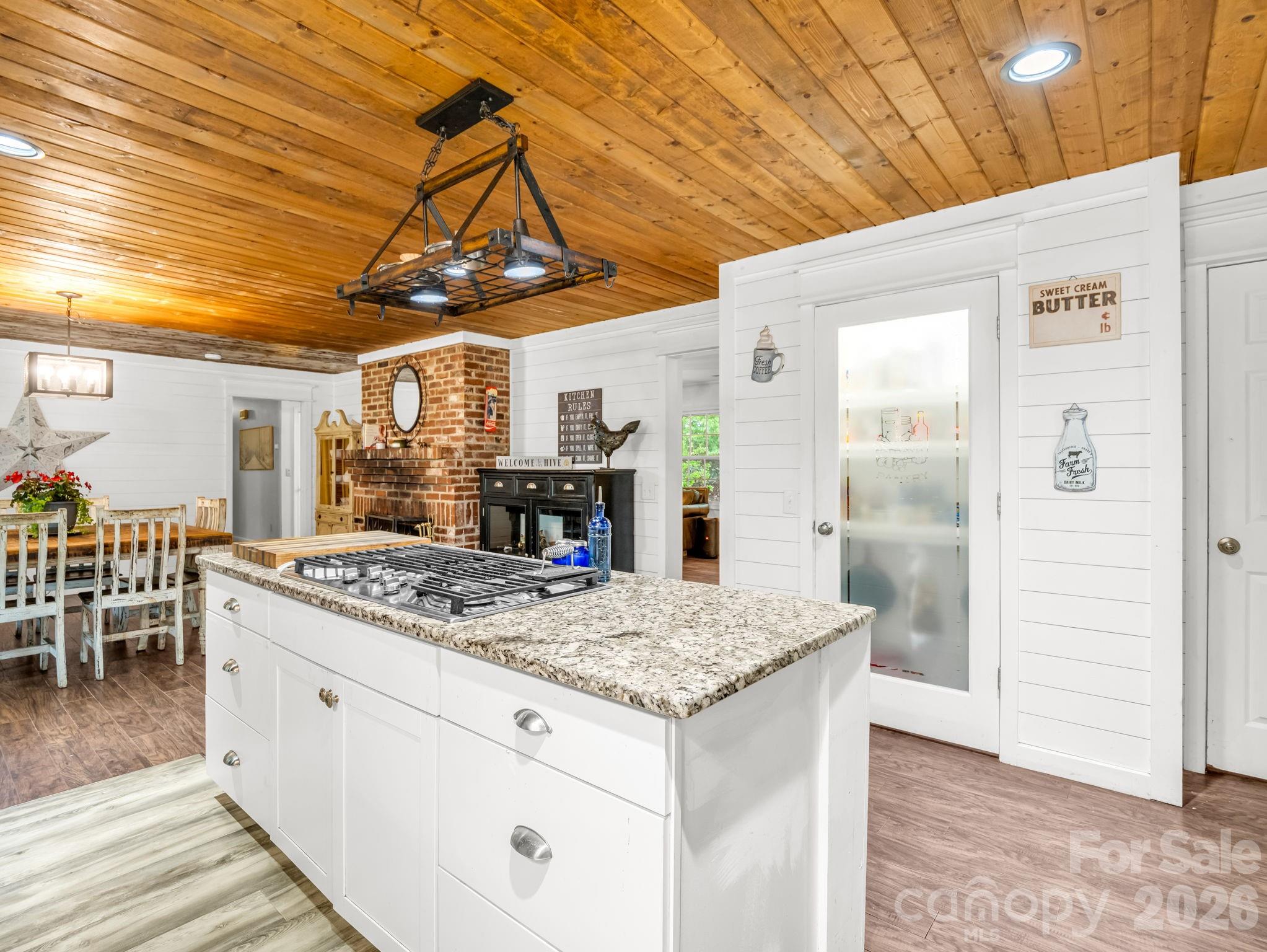 679 Solomon Jones Road Cedar Mountain, NC 28718 - Photo 5 of 38