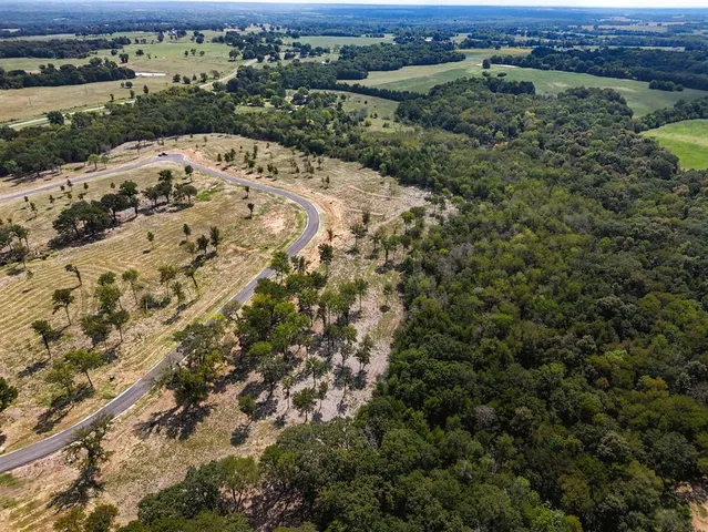 an aerial view of a houses