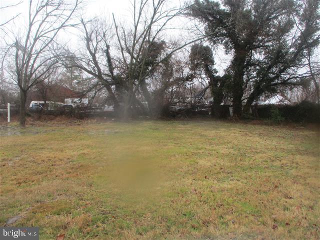 104 Old Love Point Road Stevensville, MD 21666 - Photo 4 of 27 Gallery Image 4