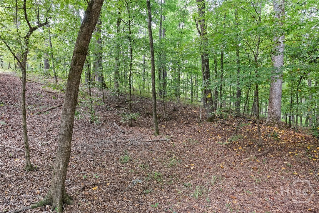 1032 Washington Road Lexington, GA 30648 - Photo 14 of 70 Gallery Image 14
