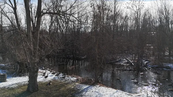 $1,500,000 | 7525 Huron River Drive, Dexter, MI 48130