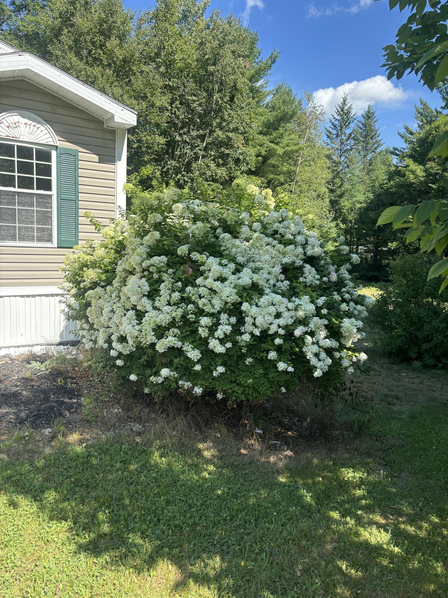 1035 Airline Road Clifton, ME 04428 - Photo 35 of 35 1000004766
