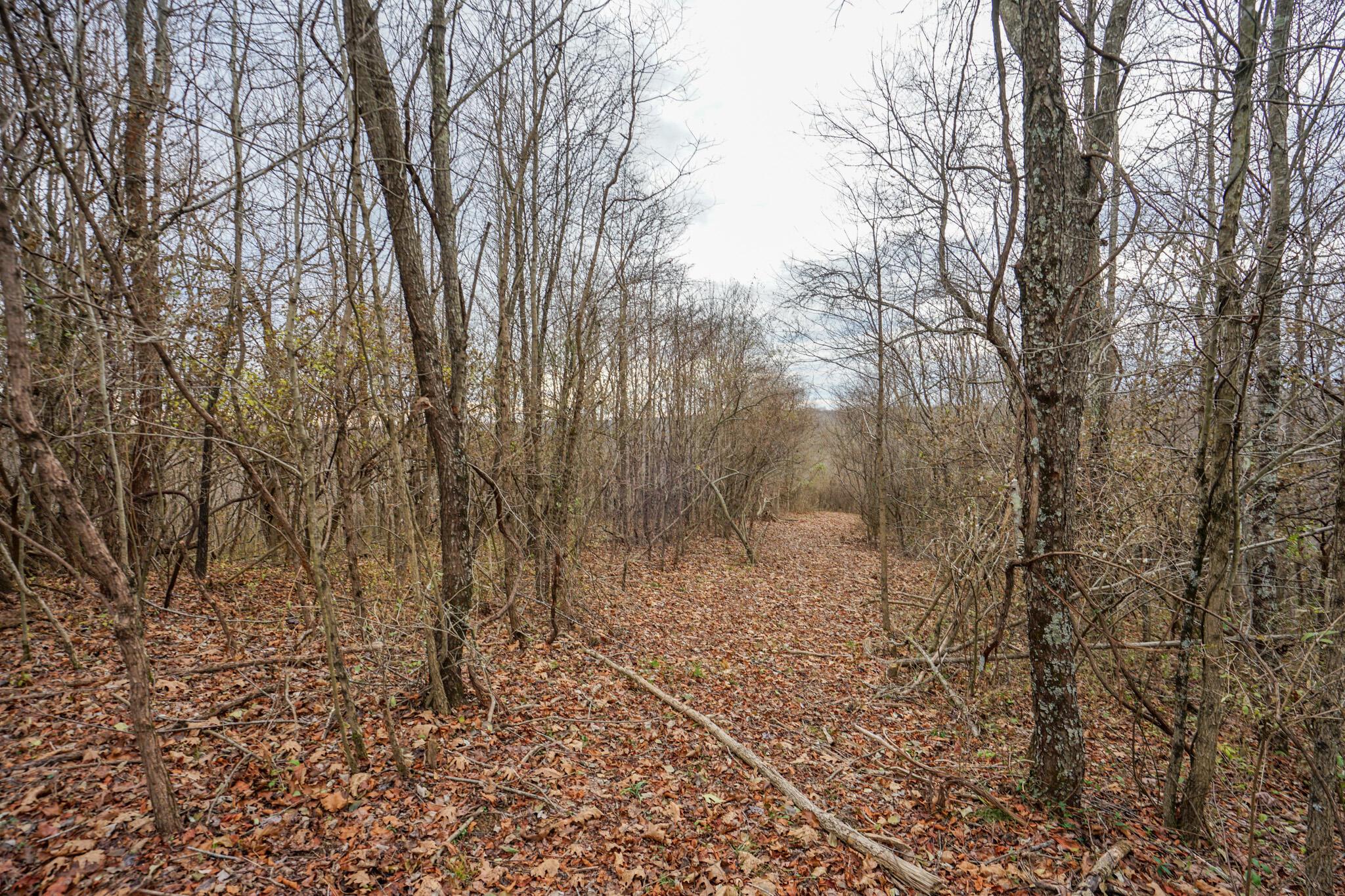 0 Fogle Road Caldwell, OH 43724 - Photo 33 of 42 DSC09917