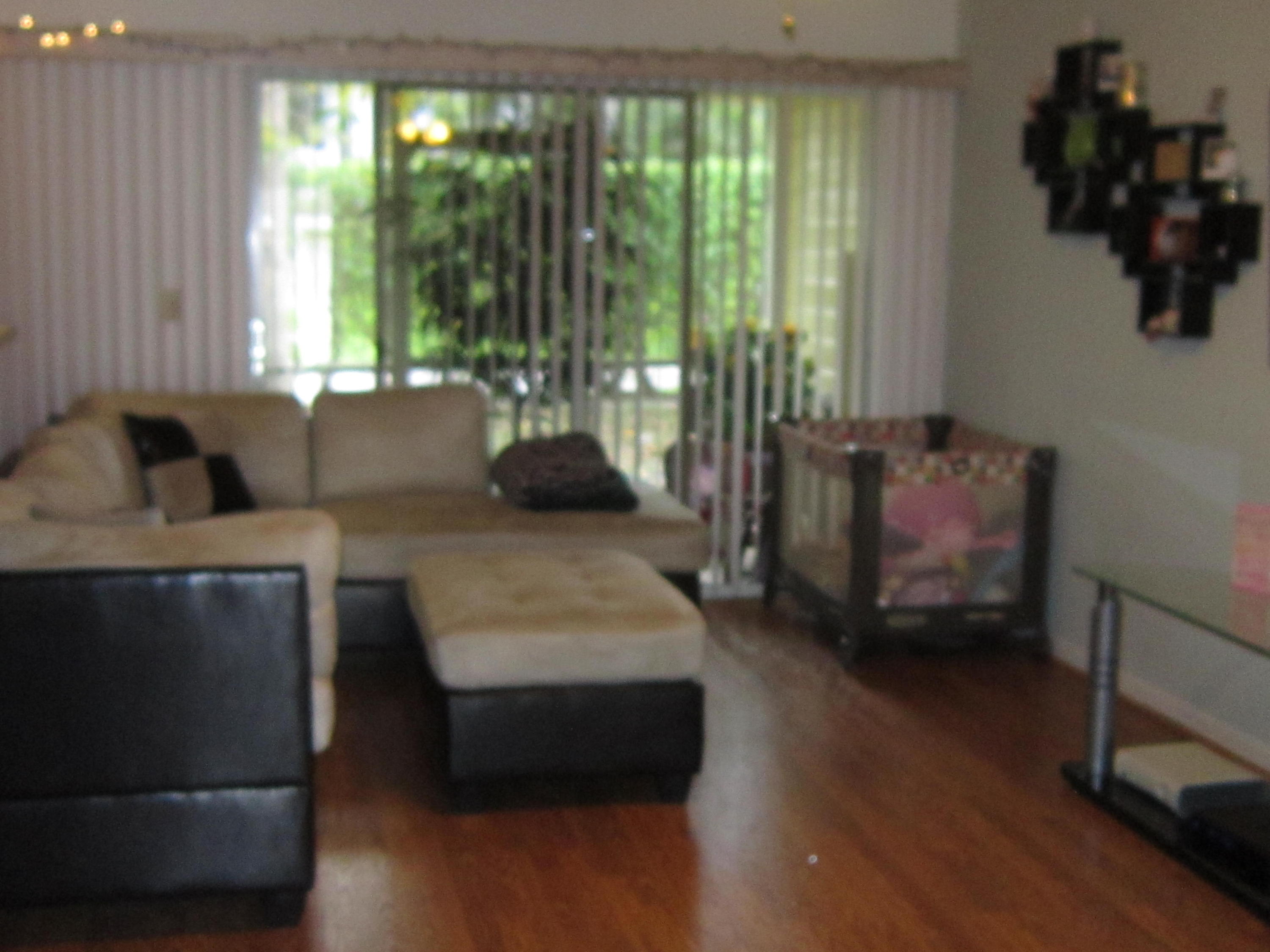 5314 Sapphire Valley Boca Raton, FL 33431 - Photo 4 of 8 LIVING ROOM