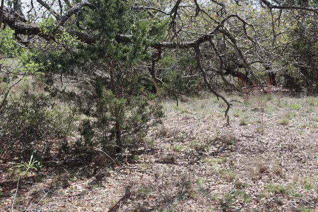 $45,000 | 105 Manuel Herrera, Unit 399, Blanco, TX 78606