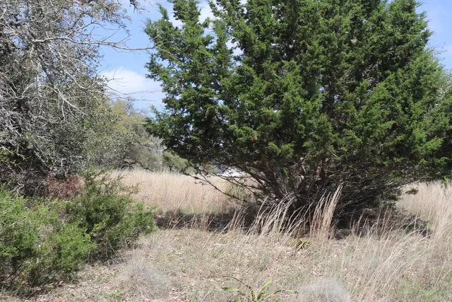 $45,000 | 105 Manuel Herrera, Unit 399, Blanco, TX 78606