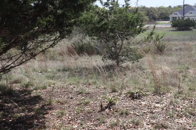 $45,000 | 105 Manuel Herrera, Unit 399, Blanco, TX 78606