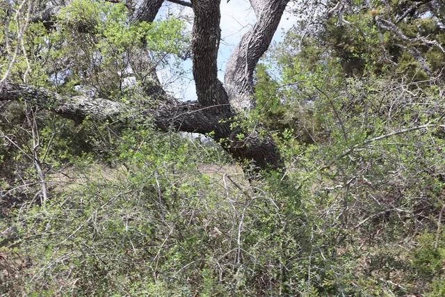 $45,000 | 105 Manuel Herrera, Unit 399, Blanco, TX 78606