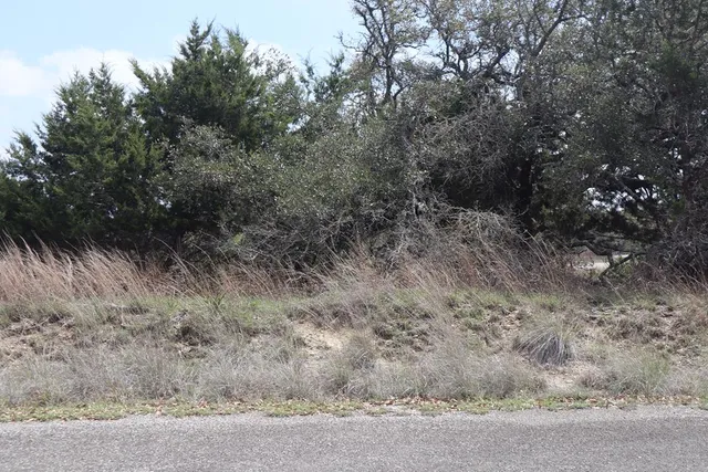 $45,000 | 105 Manuel Herrera, Unit 399, Blanco, TX 78606