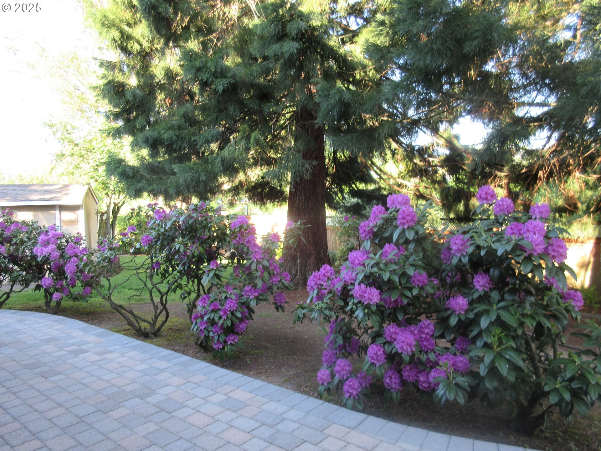 920 Hermanson Street Woodburn, OR 97071 - Photo 46 of 48 a view of a flower arrangement in backyard