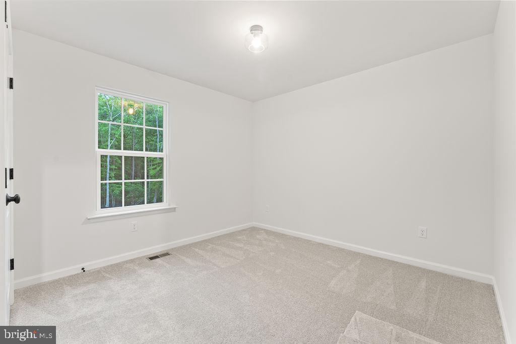 629 Vawter Corner Road Louisa, VA 23093 - Photo 23 of 42