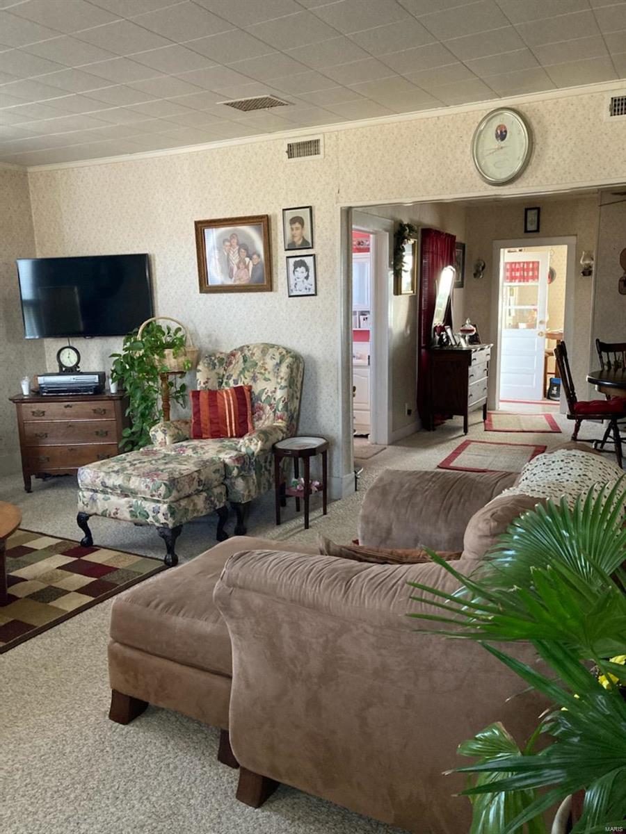 24903 Reddish Road Fieldon, IL 62031 - Photo 9 of 18
