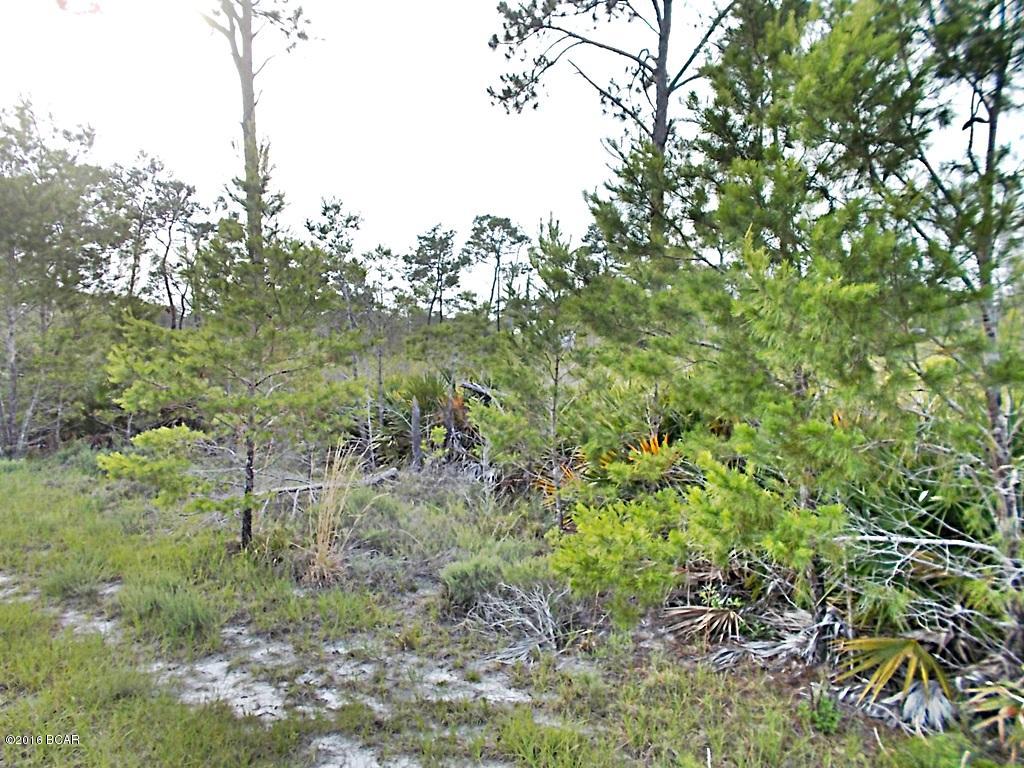 0 Ridgecrest Parkway Eastpoint, FL 32328 - Photo 5 of 6