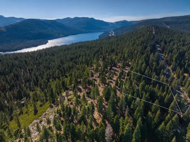 a view of a lush green hillside and a houses