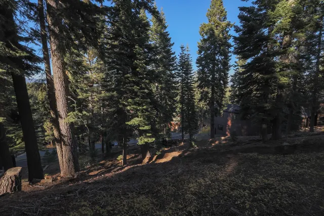 a view of outdoor space with trees