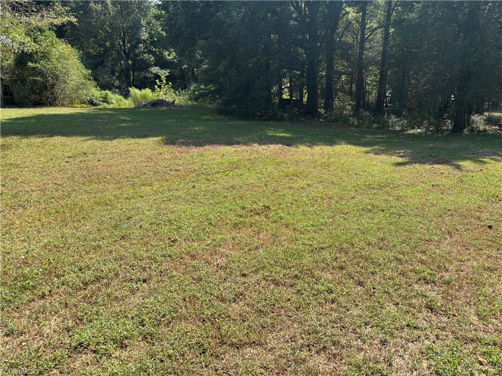 2327 Scalesville Road Summerfield, NC 27358 - Photo 23 of 28 BACKYARD