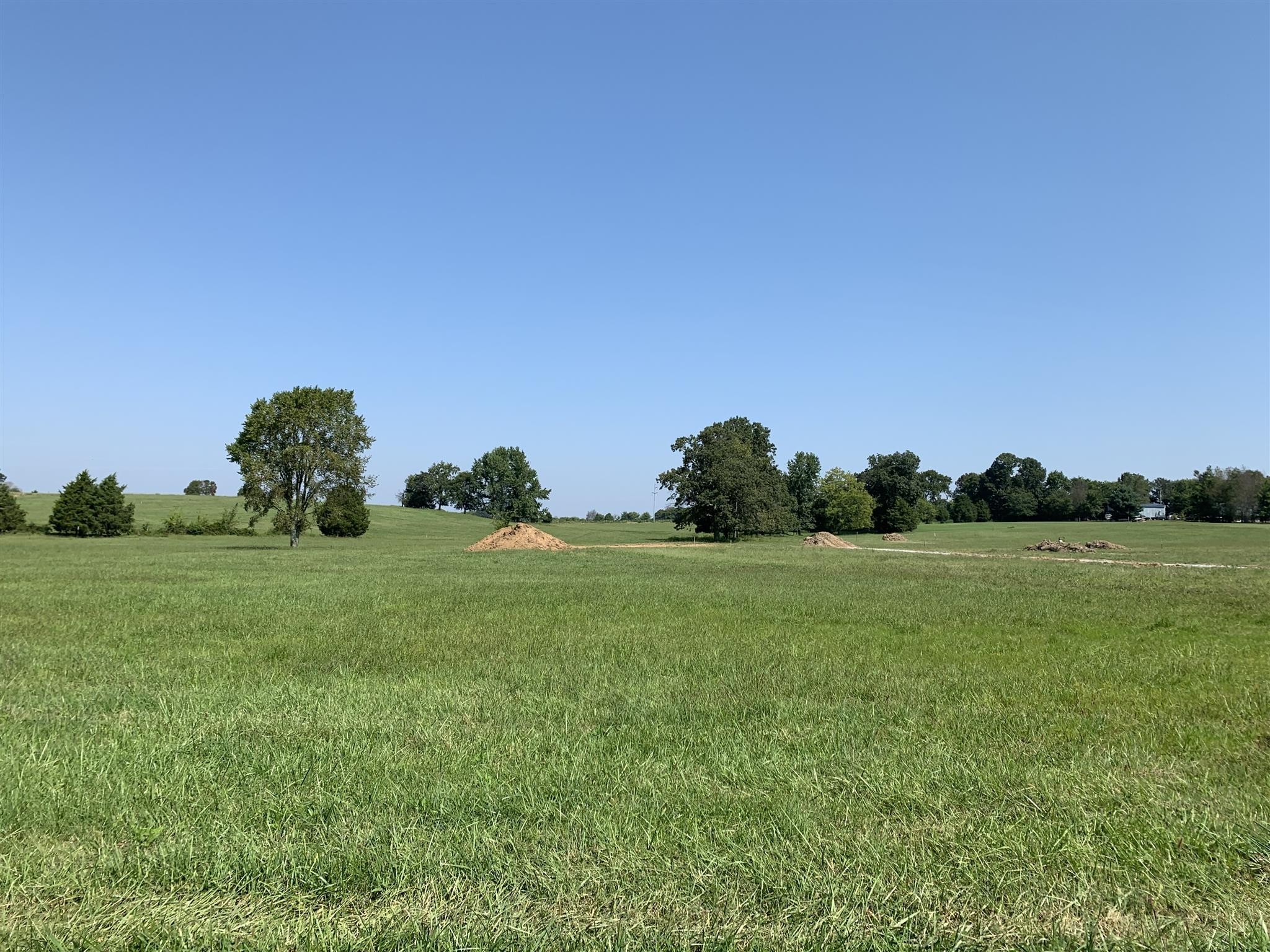 6602 Highway 25 Springfield, TN 37172 - Photo 3 of 5 a view of a field of grass and trees
