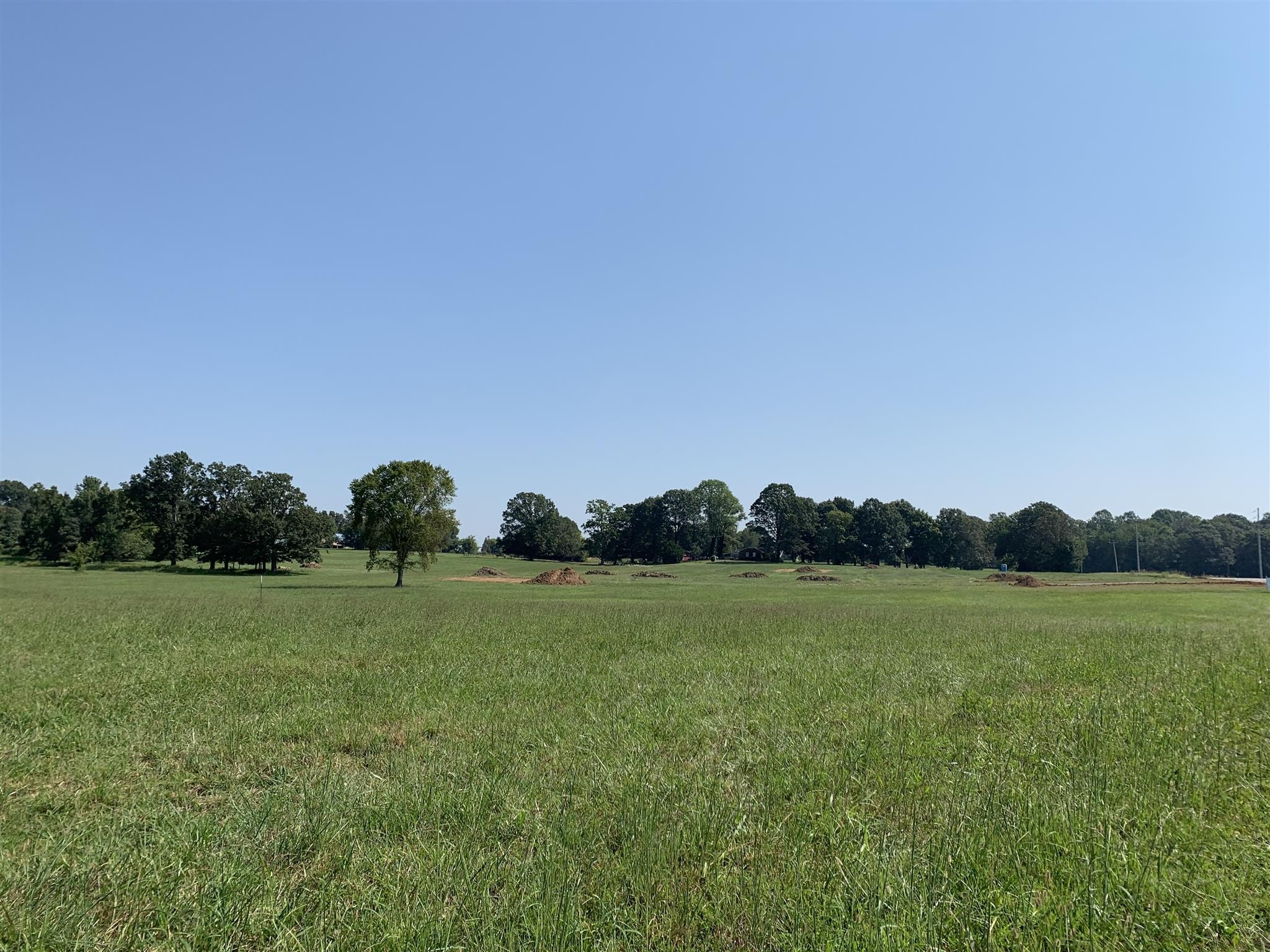 6602 Highway 25 Springfield, TN 37172 - Photo 4 of 5 a view of a grassy field with trees