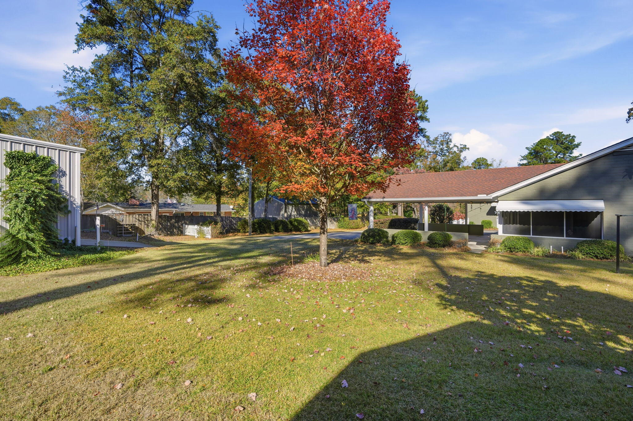 465 Woodland Terrace Elloree, SC 29047 - Photo 37 of 50 Backyard
