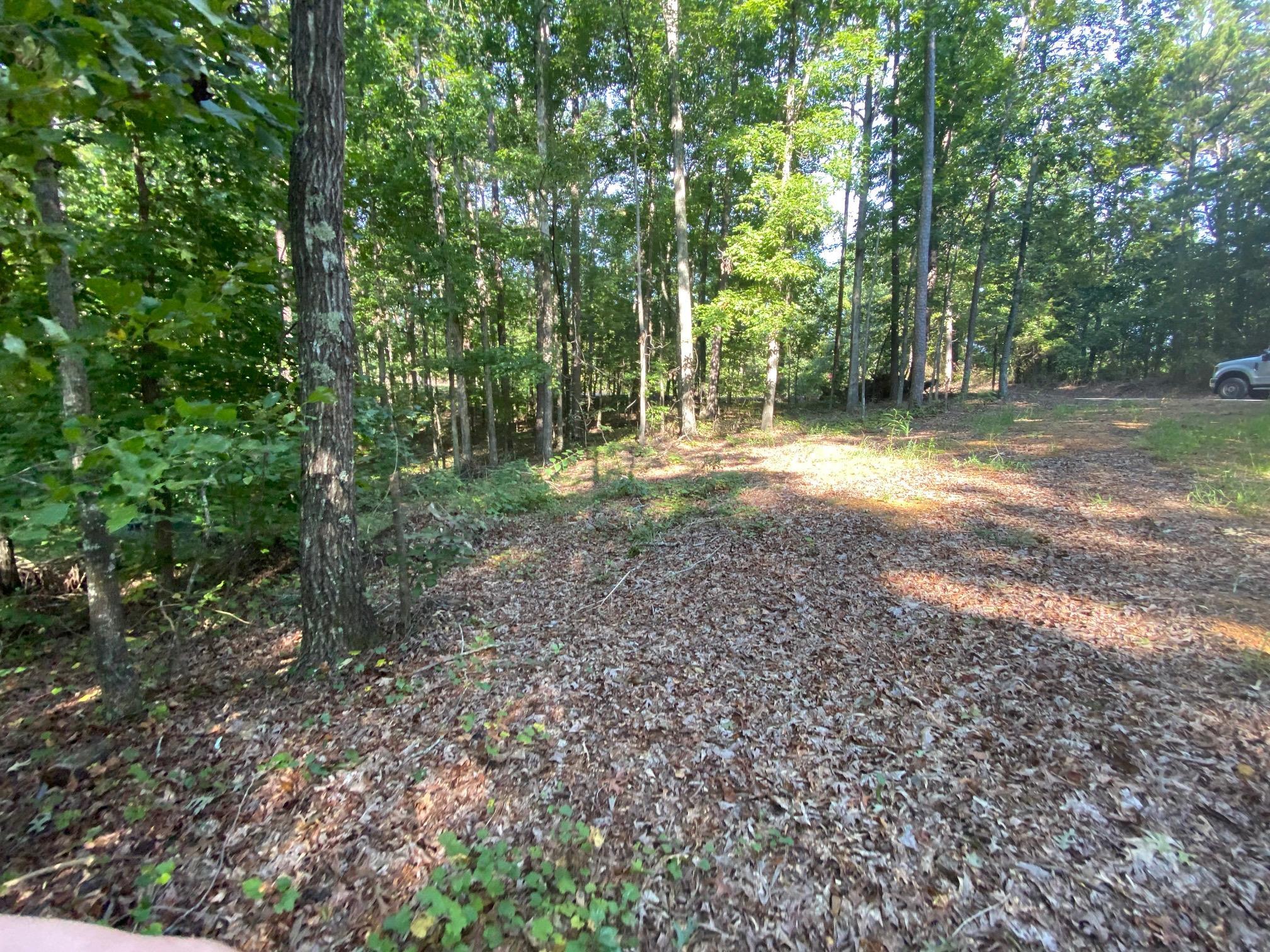 65 Lilly Taylor Road Pocahontas, TN 38061 - Photo 13 of 18 View of yard with a wooded view