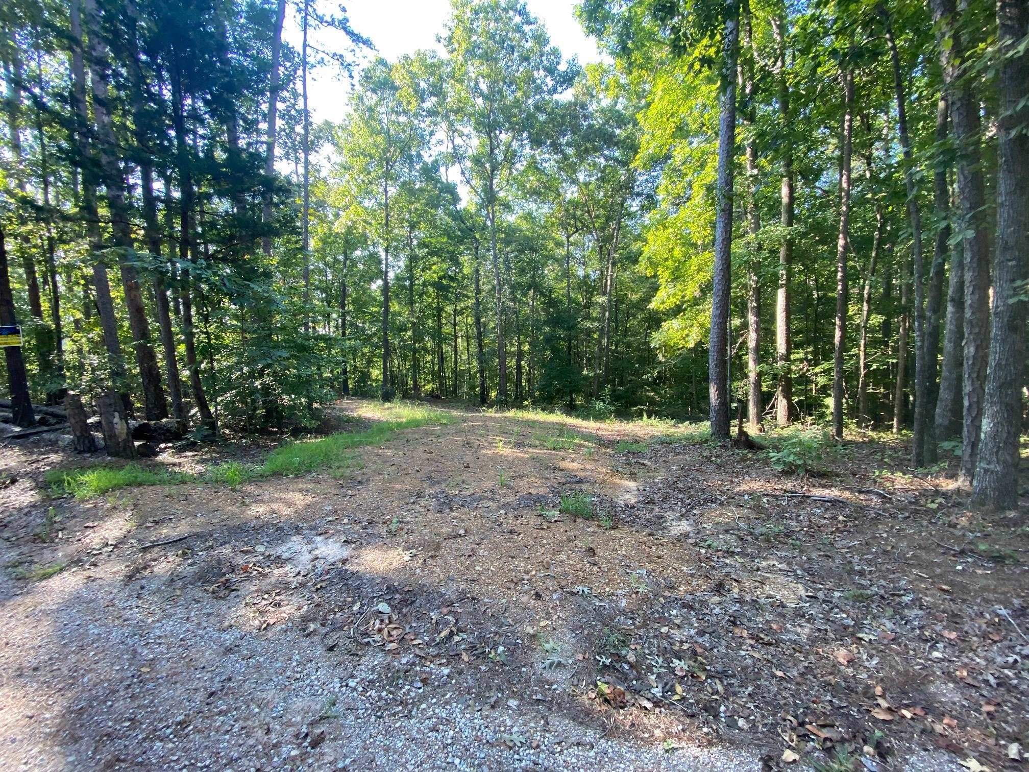 65 Lilly Taylor Road Pocahontas, TN 38061 - Photo 4 of 18 View of tree filled area
