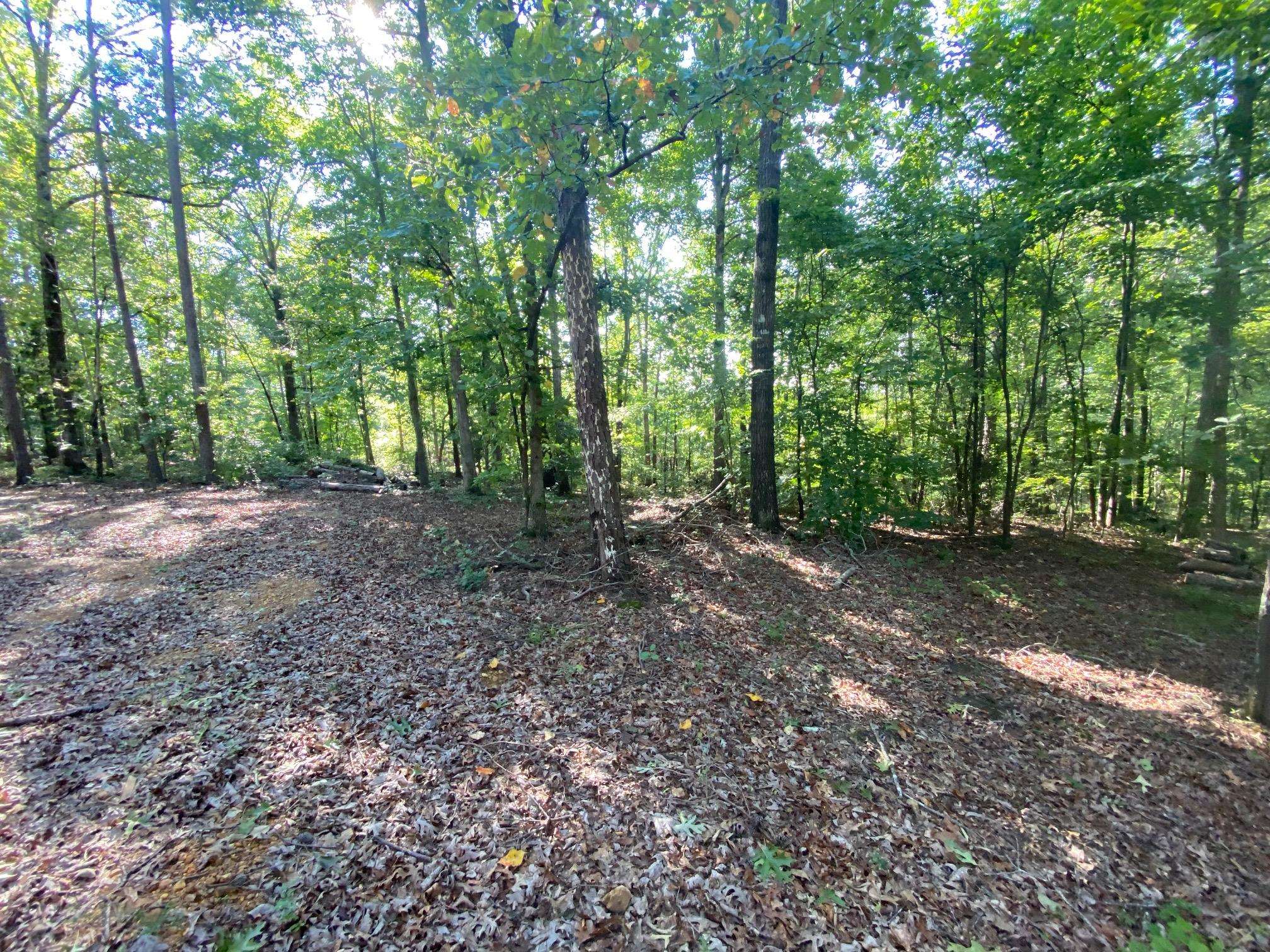 65 Lilly Taylor Road Pocahontas, TN 38061 - Photo 8 of 18 Gallery Image 8