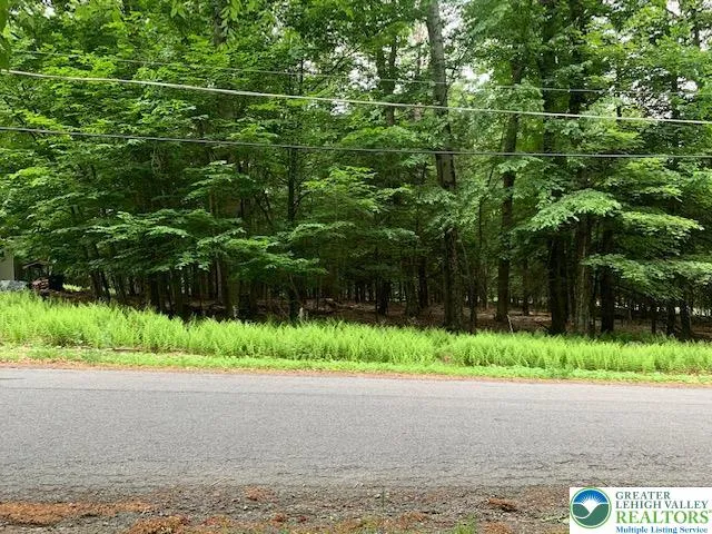 a backyard of a house with a yard and plants