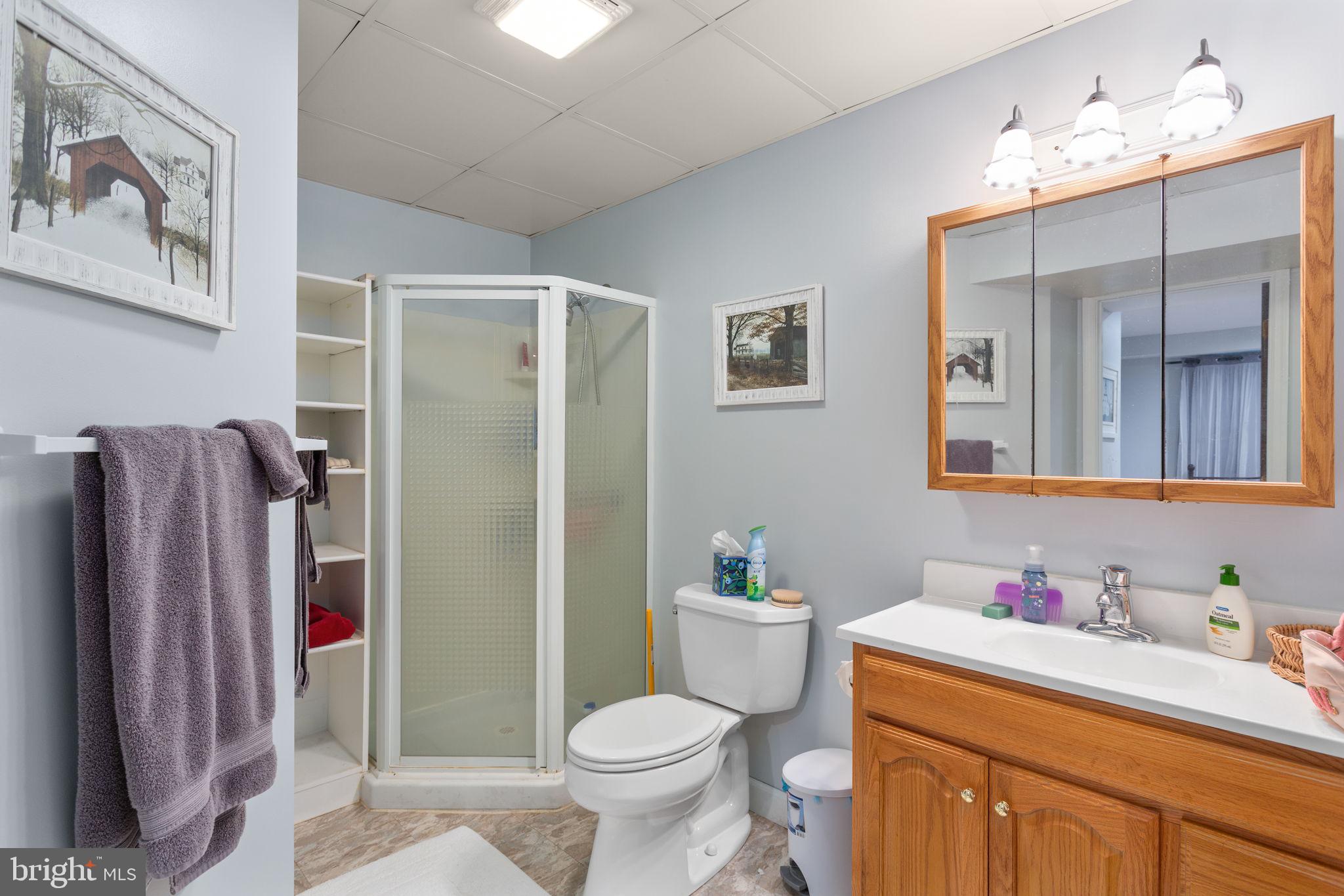 131 Rural Drive Mount Solon, VA 22843 - Photo 25 of 56 Lower Level Full Bath