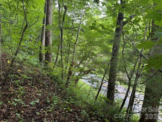 Tbd Meadow Fork Road Hot Springs, NC 28743 - Photo 11 of 20