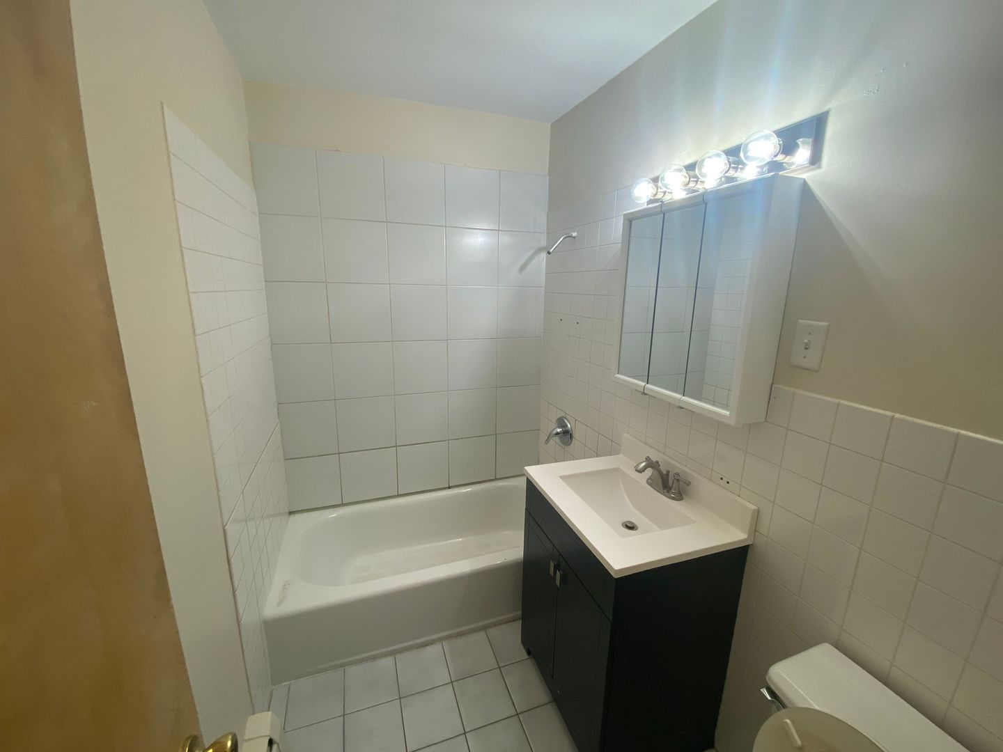 1541 Homestead Road La Grange Park, IL 60526 - Photo 6 of 11 a bathroom with a sink a toilet a mirror a vanity and bathtub