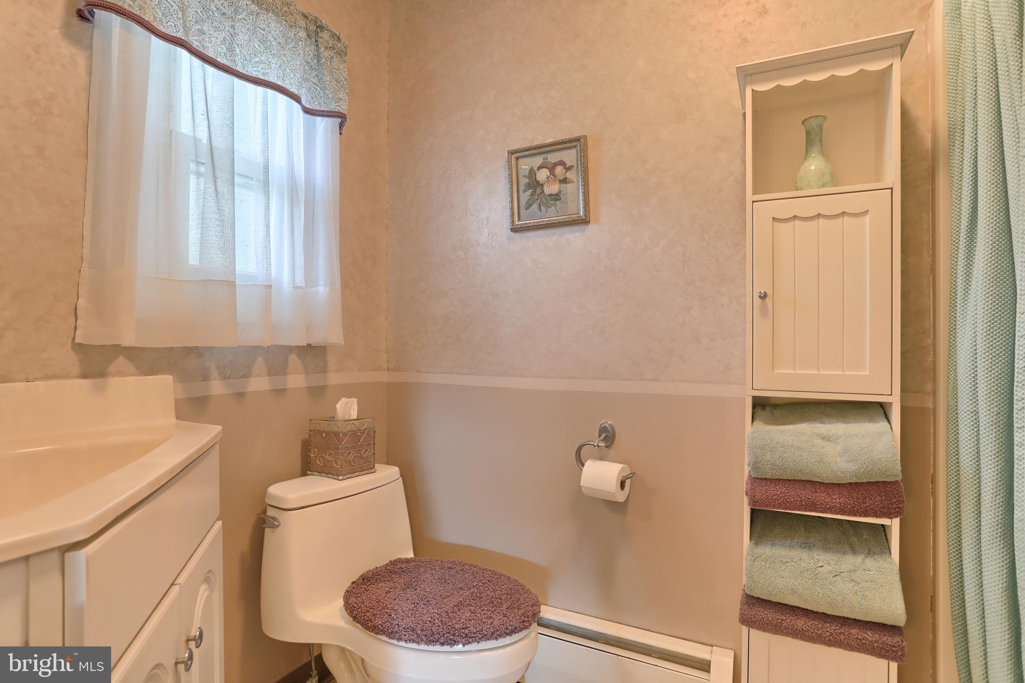 5541 Elizabethtown Road Palmyra, PA 17078 - Photo 14 of 31 Updated master bath w/shower