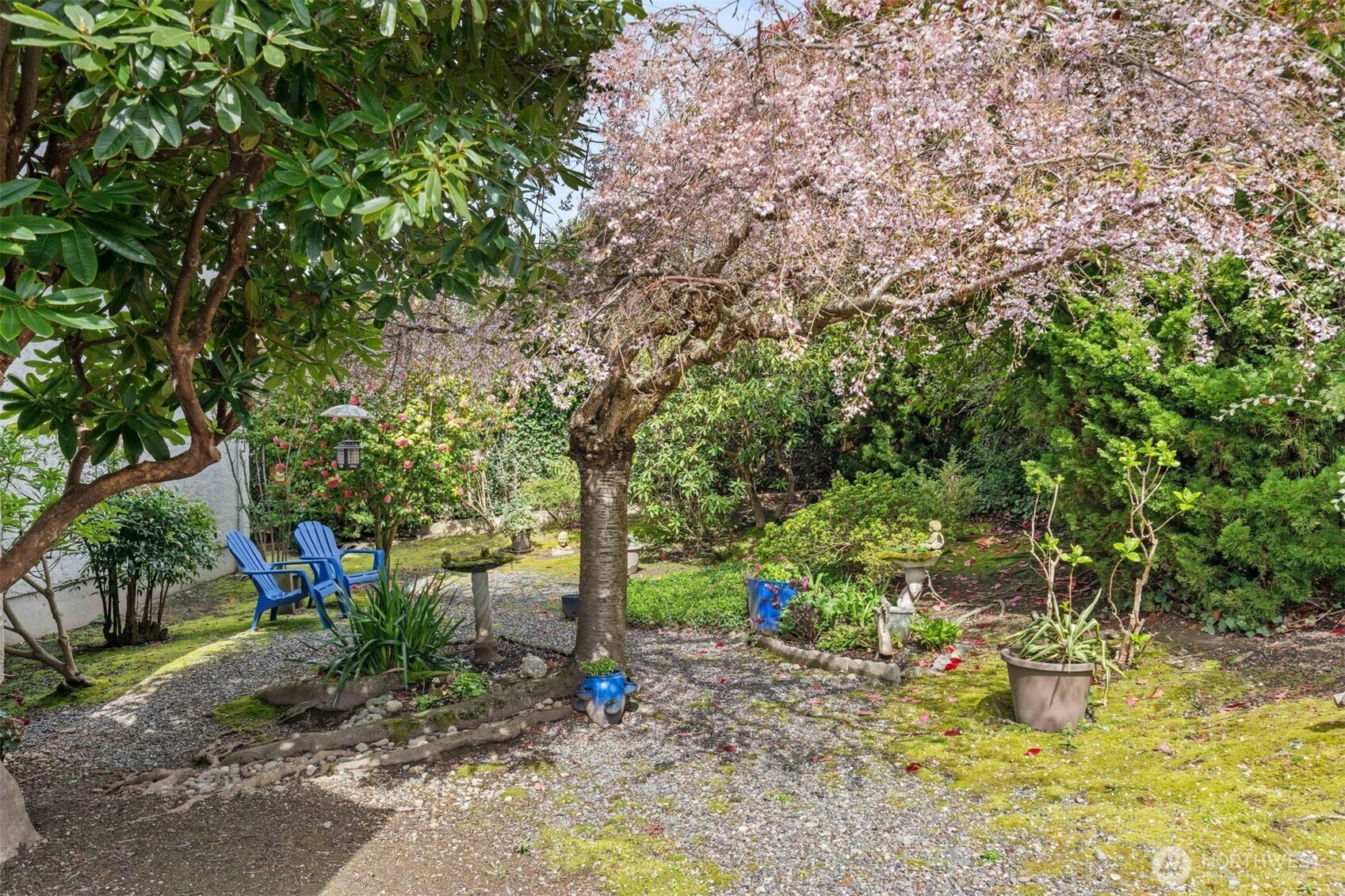 217 Alder Street, Unit 101 Edmonds, WA 98020 - Photo 31 of 36