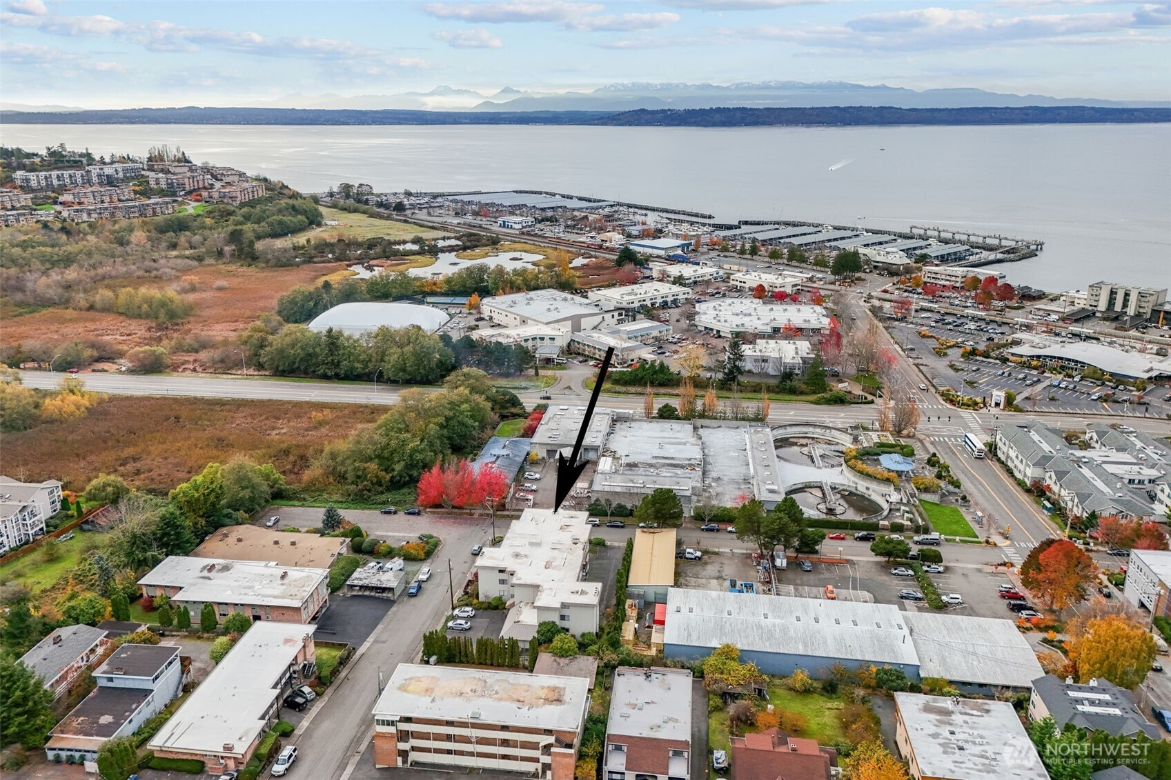 217 Alder Street, Unit 101 Edmonds, WA 98020 - Photo 34 of 36