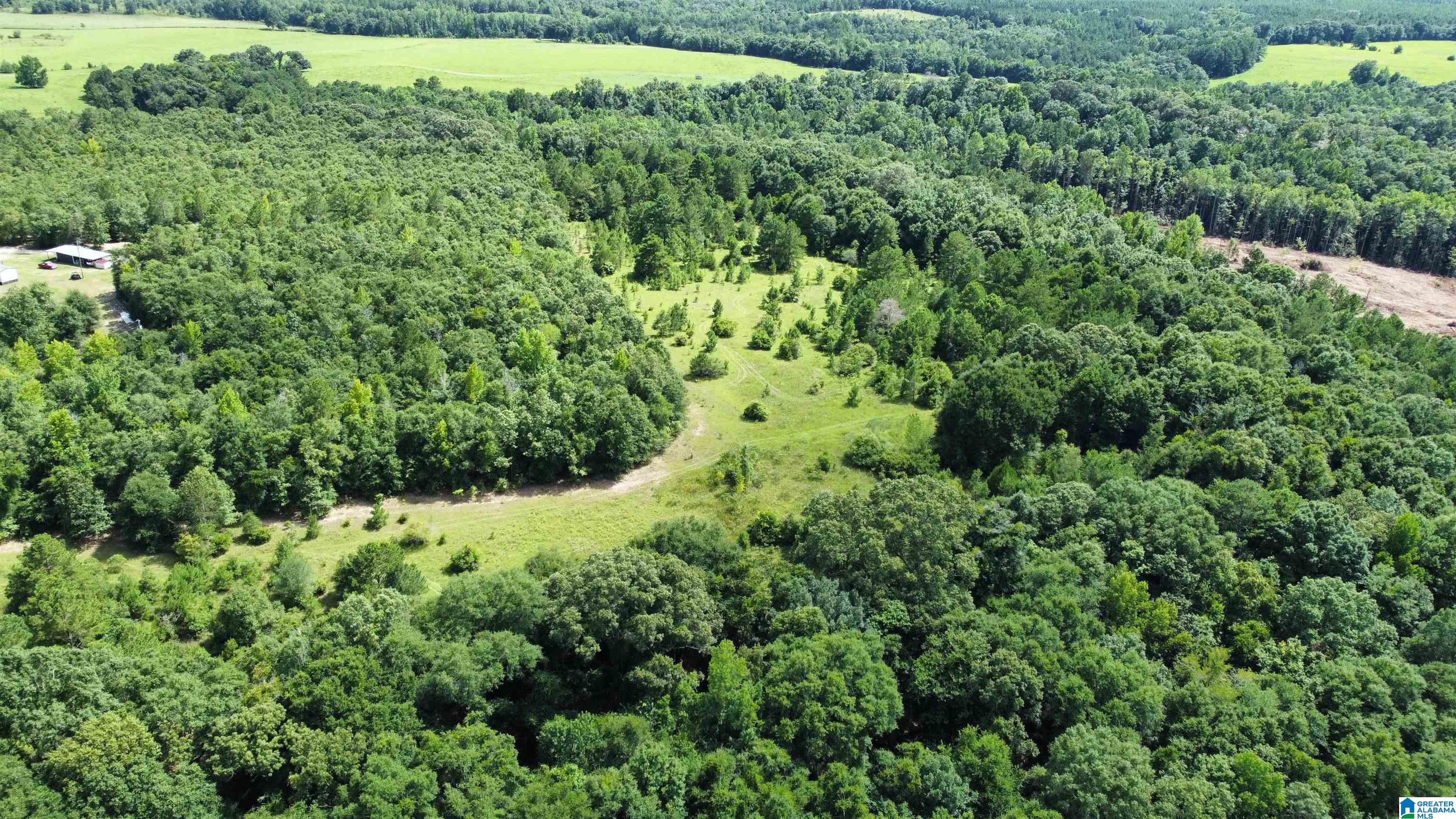 0 County Road 65 Abbeville, AL 36310 - Photo 5 of 24