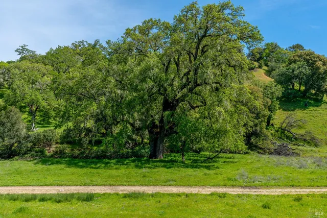 $8,500,000 | 14495 Old River Road, Hopland, CA 95449