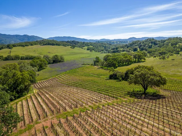 $8,500,000 | 14495 Old River Road, Hopland, CA 95449