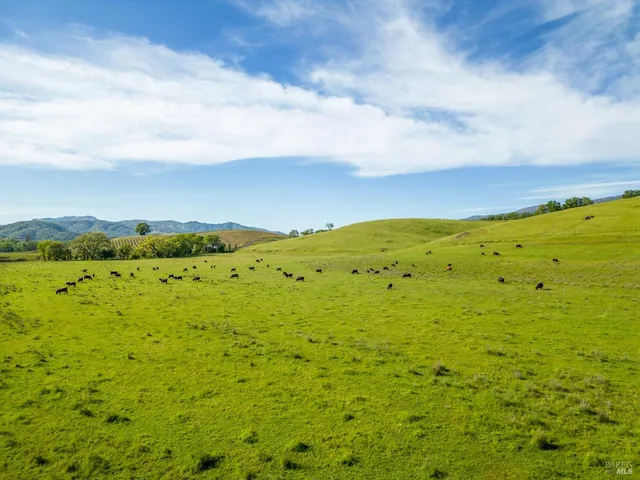 $8,500,000 | 14495 Old River Road, Hopland, CA 95449