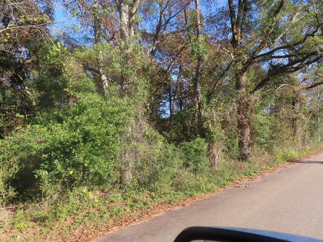 $189,900 | Lot 3 Graveyard Rock Road, Santee, SC 29142
