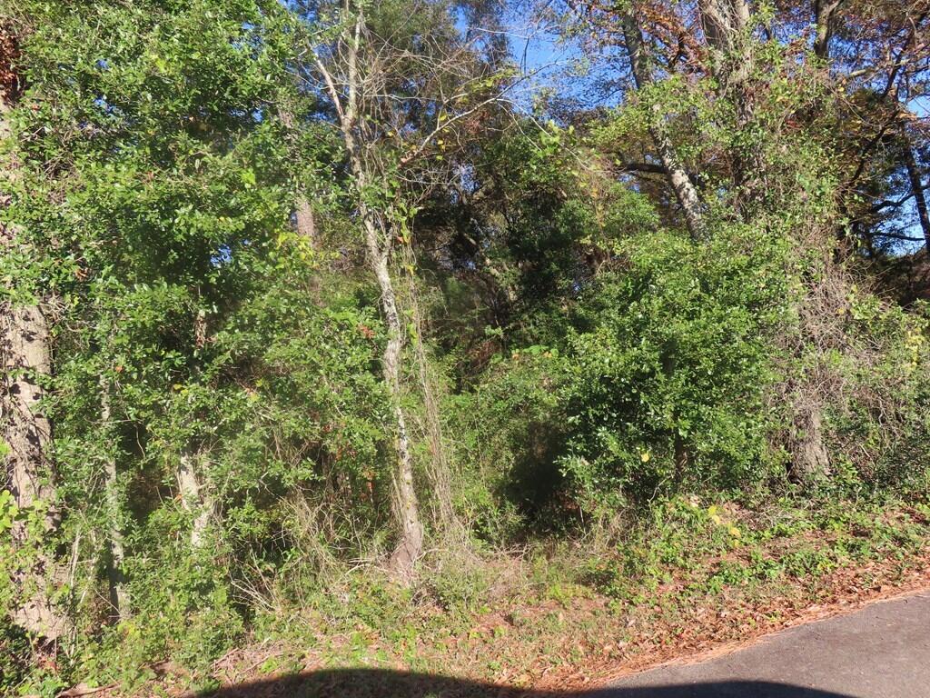 Lot 3 Graveyard Rock Road Santee, SC 29142 - Photo 2 of 3 161951_1