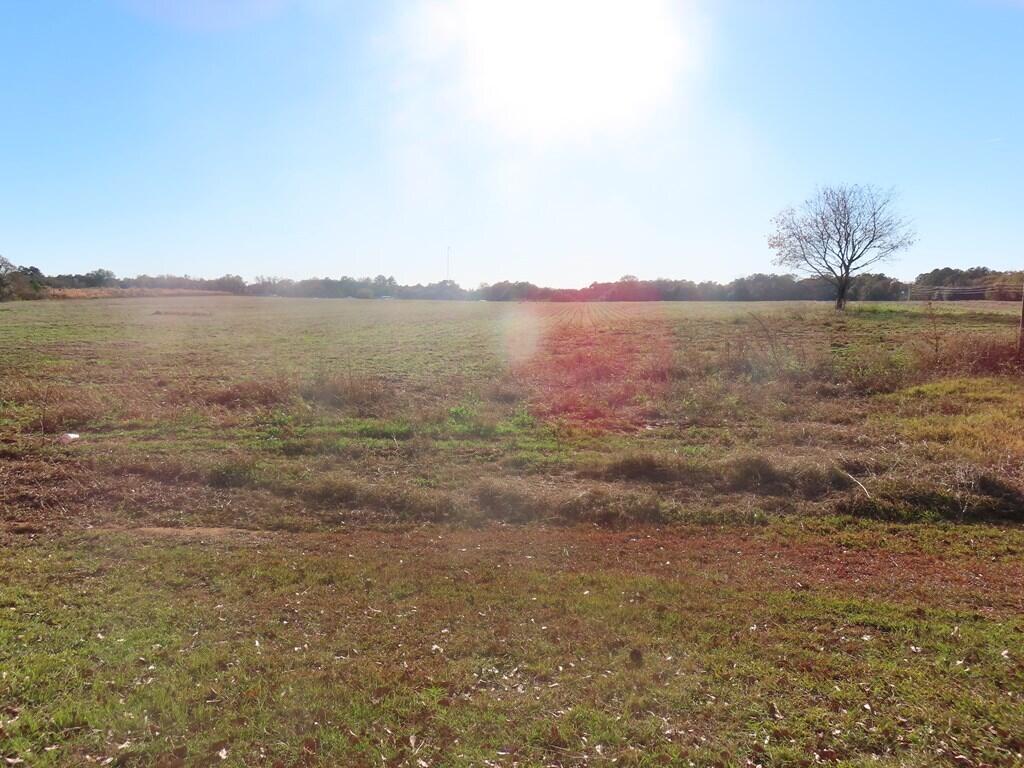 Lot 3 Graveyard Rock Road Santee, SC 29142 - Photo 3 of 3 161951_2