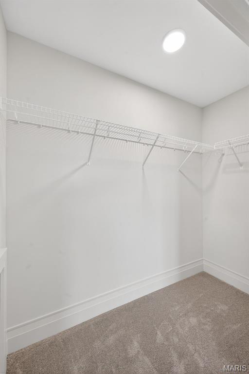 416 South Ballas Road Kirkwood, MO 63122 - Photo 53 of 69