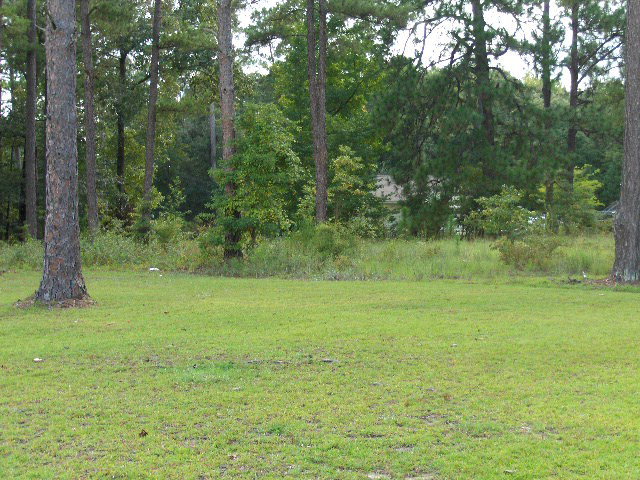 6350 Sandy Point Road Lizella, GA 31052 - Photo 22 of 25 a view of a field with trees in the background