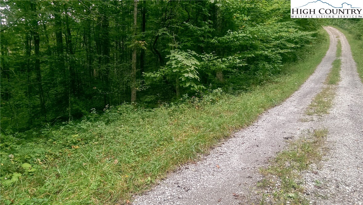 Lot #40 Mountain High Road Sparta, NC 28675 - Photo 1 of 4 Gallery Image 1